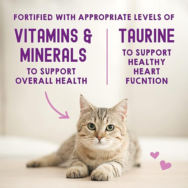STELLA & CHEWY’S CARNIVORE CRAVINGS WET CAT FOOD POUCHES – PREMIUM SALMON & MACKEREL RECIPE – GRAIN-FREE MORSELS & GRAVY – PERFECT FOR PICKY EATERS – COMPLETE MEAL OR TOPPER – 2.8OZ, 12-PACK