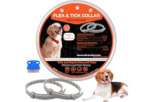 ITTOIR Flea Collar for Dogs, 2 Pack Flea and Tick Collar for Dogs, Dog Flea Collar Offers Long Flea and Tick Prevention, Waterproof Dog Flea and Tick Collar, Adjustable, One Size Fits All Dogs Puppies