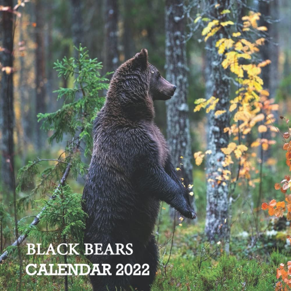 2022 BLACK BEARS CALENDAR: 2022-2023 BLACK BEARS CALENDAR | KIDS GIFT | DAD GIFT | KIDS GIFT | BIRTHDAY GIFT | MOM GIFT| ANIMATION GIFT | CARTOON GIFT 2022 BLACK BEARS CALENDAR: 2022-2023 BLACK BEARS CALENDAR | KIDS GIFT | DAD GIFT | KIDS GIFT | BIRTHDAY GIFT | MOM GIFT| ANIMATION GIFT | CARTOON GIFT