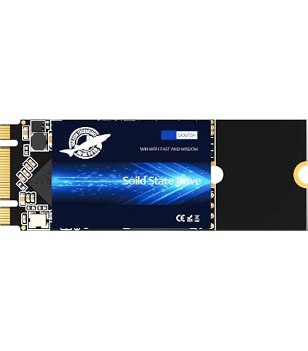 Amazon.com: GAMERKING SSD M.2 2260 1TB NGFF Internal Solid State
