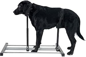 HQSLC Dog Breeding Stand,Stainless Steel Dog Grooming Stand with Collar Adjustable Height and Length,Pet Bath Fixed Bracket (M)