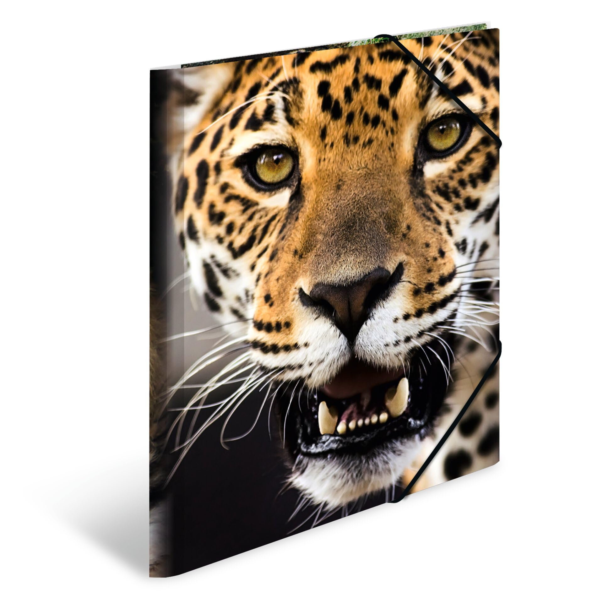 HERMA Elastic Folder Animals with Leopard Motif, A4, Sturdy Plastic, with Inner Print, 1 Span Folder