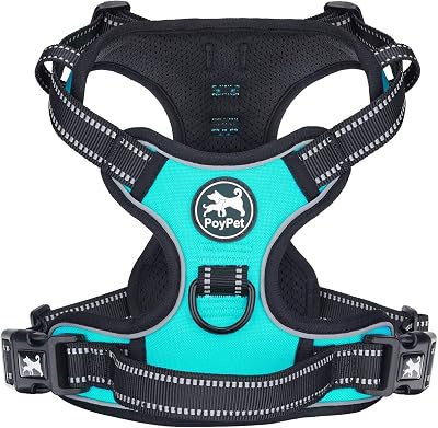 PoyPet No Pull Dog Harness Reflective Vest with 2 Leash Attachments Mint S