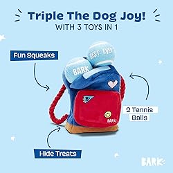 Barkbox 2 in 1 Interactive Plush Dog Toy - Rip and