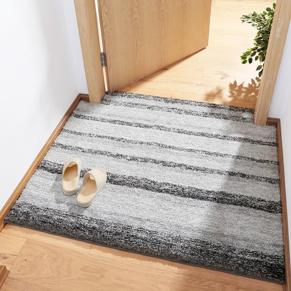 Mat Carpet Doormat Door for Home EntranceA 50x80cm