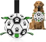 HETOO Interactive Dog Football Toy with Webbing 8 Inch Small Medium Breeds
