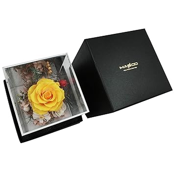 Buy Masoo Forever Rose Preserved Rose Eternal Rose Gifts For Women Wife Mom Room Decor Birthday Gifts Valentine Present Upscale Immortal Flower Yellow Online At Low Prices In India Amazon In