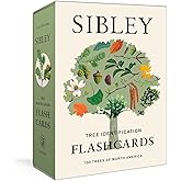 Sibley Tree Identification Flashcards: 100 Trees of North America