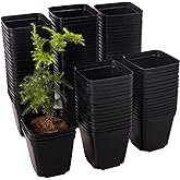 200 Packs Square Nursery Pots for Plants 2.8 Inch Succulent Plant Pots Set Plastic Seedling Starting Pots with Drainage Holes Nursery Pots Variety Pack Flower pots Planter Seed Starter, Black