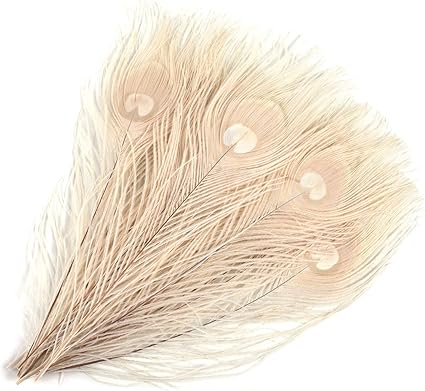 Mwoot 15 Stucke Schone Naturliche Pfauenfedern Pfau Schwanzfedern Augen Federn Dekorationen Fur Handwerk Party 28 32 Cm Weiss Amazon De Kuche Haushalt