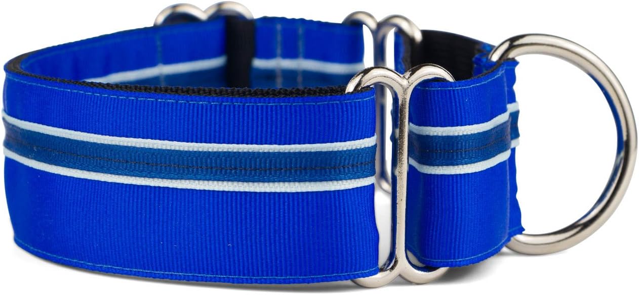 if it barks martingale collar