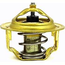 Amazon.com: 3704299M1 OEM Agco Thermostat Without Housing for 