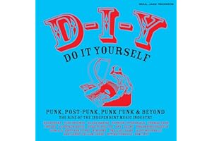 D-I-Y: DO-IT-YOURSELF â€“ Punk, Post Punk, Punk Funk & Beyond: The Rise of the Independent Music Industry (BLUE VINYL)