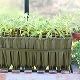 Haxnicks Maxi Rootrainers | Extra Deep 40 Cell Planting Pots | Black view 3