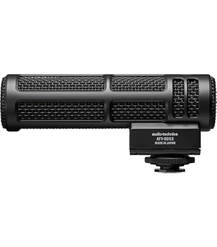 Amazon.com : Panasonic DMW-MS2 Directional and Stereo Microphone