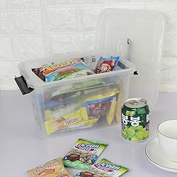 Ggbin 6 Quart Clear Latch Storage Box with Black