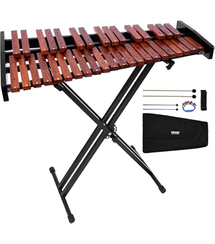 Amazon.com: Studio 49 AGd 2000 Alto Glockenspiel : Musical Instruments