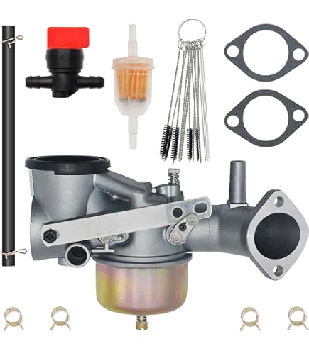 Carburador Con Junta For Briggs & Stratton 491031 490499 49 | Meses sin