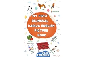 My first bilingual Darija English picture book: 500 illustrated words in the Moroccan Arabic dialect - A visual dictionary wi