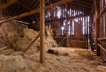 Amazon Com Lfeey 10x8ft Farmhouse Hay Bale Backdrop Western Farm