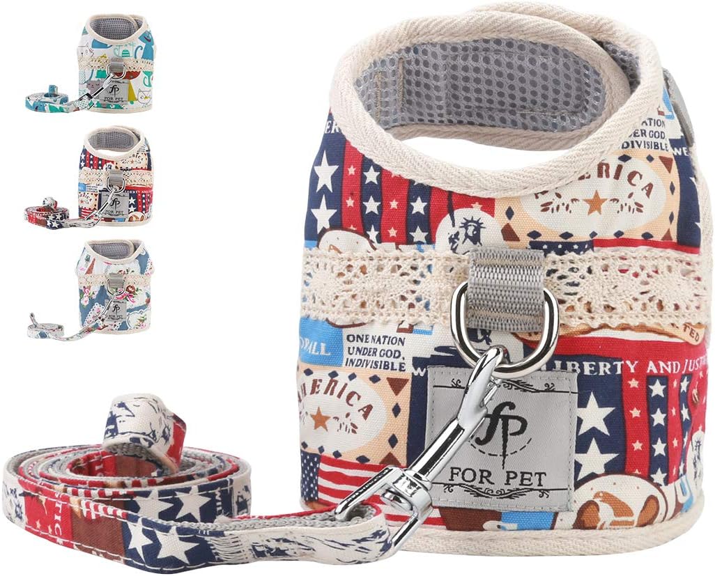 voopet Boho Soft Mesh Cat Harness, Dog Padded Front Vest Harness with Leash, Adjustable Pets No-Pull Walking Harness - Easy Control for Small Dogs & Puppy