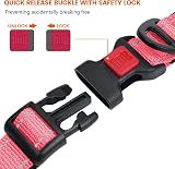 Taglory Reflective Nylon Dog Collar XS Pink Safety Buckle Neoprene Padding view 3