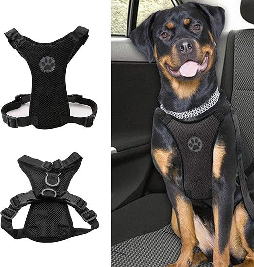 rottweiler dog body belt