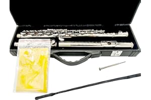 TEACHER APPROVED! Carolina Winds Intermediate Flute (cw401flt) Silver