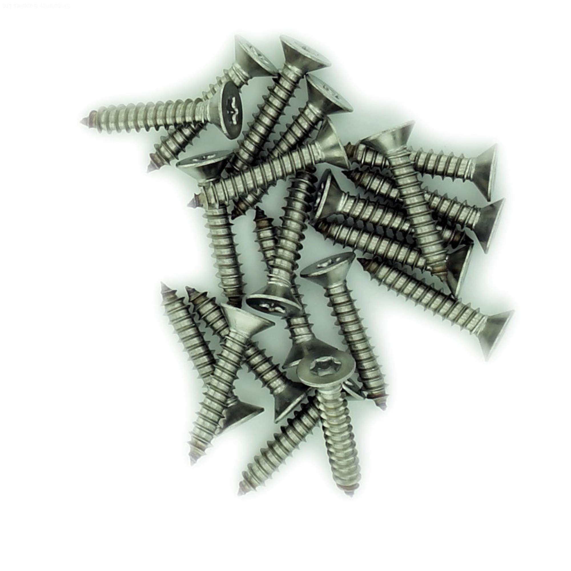 No.4 x 0.75 (2.9mm x 19mm) TX Countersunk Self-Tapping Screw - Stainless Steel (A2) (Pack of 20)