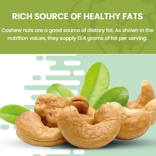 SANO WEST AFRICAN PREMIUM RAW CASHEW NUTS 32OZ (2LB) 100% NATURAL UNSALTED RAW UNROASTED CASHEWS | NON-GMO ORGANIC CASHEW NUTS | WHOLE CASHEWS UNSALTED FOR SNACKING, COOKING & VEGAN RECIPES