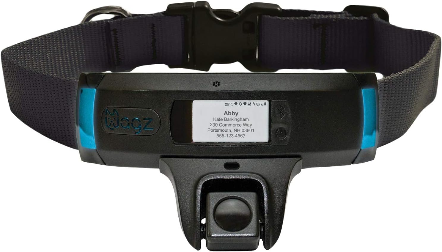 dog friendly luxury lodges with hot tubs