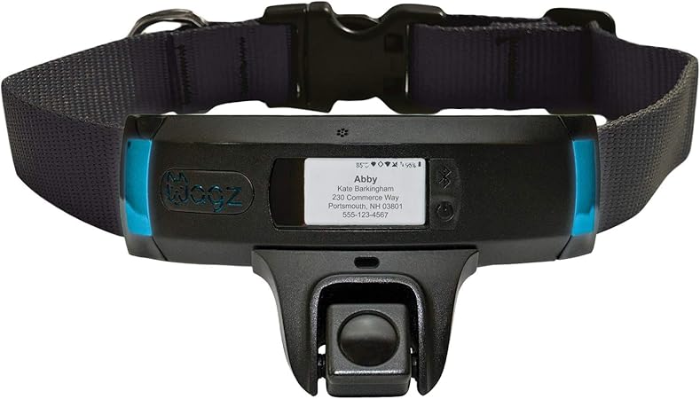 wagz collar