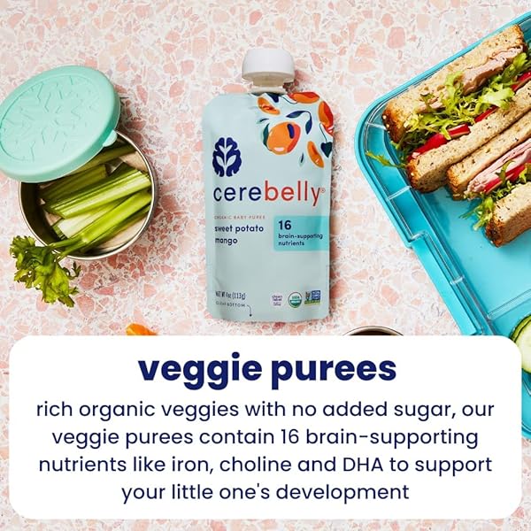 CEREBELLY ORGANIC BABY FOOD POUCHES – ORGANIC VEGGIE PUREES FOR TODDLERS | NO ADDED SUGAR, FIBER, NON-GMO | BLENDED TODDLER FOOD | 4OZ BPA-FREE BABY FOOD | SWEET POTATO MANGO | 6 COUNT