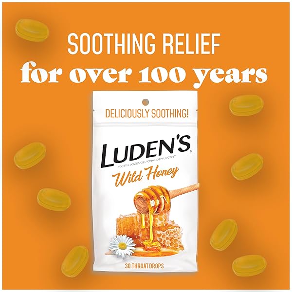 LUDEN’S DELICIOUSLY SOOTHING THROAT DROPS, WILD HONEY FLAVOR, 30 COUNT