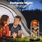 Touloube Galaxy Rose for Her Light Up Rose in Glass Dome Gift view 4
