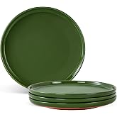 Shrynxal Ceramic Dinner Plates, 10.25 Inch, Set for 4, Elegant Green | Flat Dish Design, Microwave &amp; Dishwasher Safe, Perfect for Family and Entertaining, For Steak, Sandwiches, Pizza, Pasta