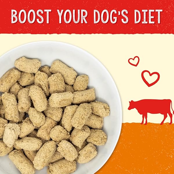 STELLA & CHEWY’S FREEZE-DRIED RAW DOG FOOD FOR DIGESTIVE HEALTH – GRASS-FED BEEF DINNER MORSELS – NATURAL SOLUTION FOR SENSITIVE STOMACH, GAS & FIRM STOOLS – PREMIUM RAW NUTRITION – 13OZ