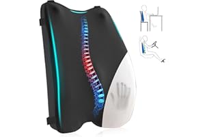 CUISIBOT Lumbar Support Pillow for Office Chair – Premium Memory Foam Back Cushion, Back Support Pillow for Car Seats, Lower Back Pain Relief, Improves Posture, 3 Adjustable Straps