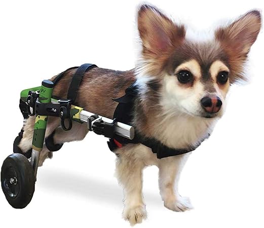 silla de ruedas para perros amazon