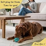 PawsOnly Dog Treat Ball Dispenser Interactive Toy Green 7cm Medium view 3