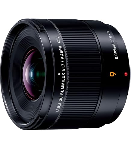 Panasonic Leica D SUMMILUX 25mm/F1.4 ASPH L-X025 - International