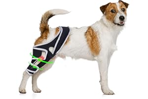 Dog Knee Brace for Torn ACL Hind Leg, Adjustable Dog ACL Braces Rear Leg or Front Legs with Cruciate Ligament Injuries, Suppo
