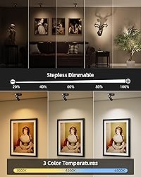 EZVALO Wireless LED Spotlights Indoor, 5500mAh