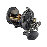 Penn Squall II Star Drag Conventional Fishing