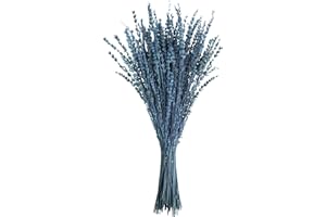 Uieke Dried Lavender Flowers Bundle, 16" Dried Lavender Bouquet Blue Flowers for Shower Weeding Home Fragrance Vase Crafts Decor, 50g(1.76oz)