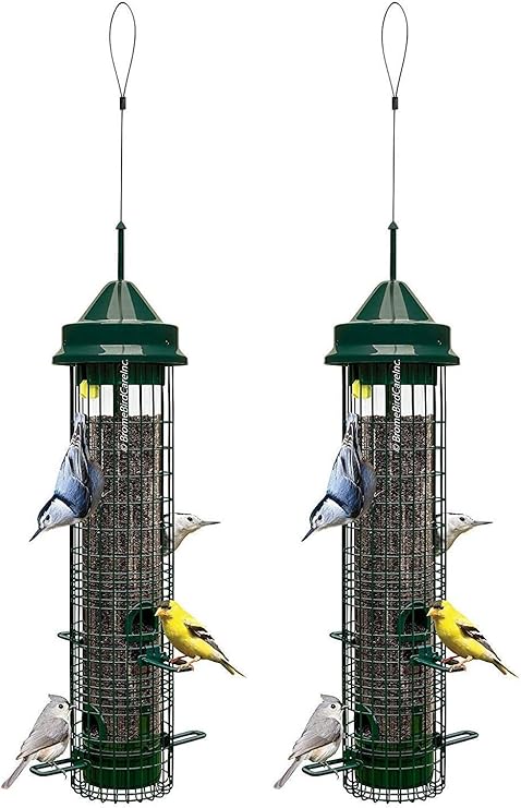 Amazon Com Squirrel Buster Classic Squirrel Proof Bird Feeder W