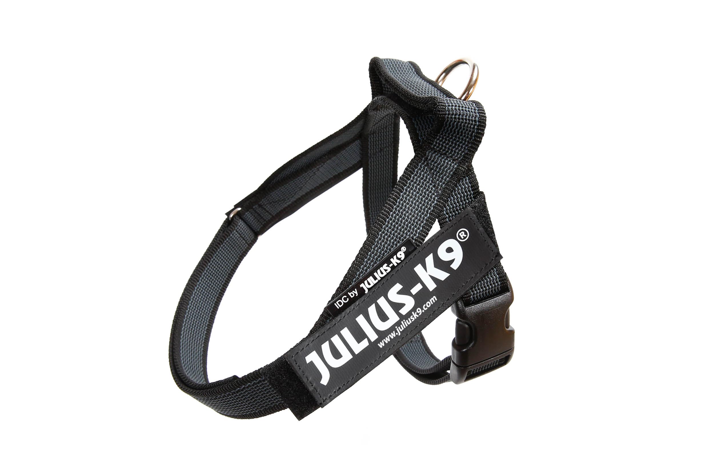 Julius-K9, IDC Color & Gray Belt Harness, Size: S / Mini, Black-Gray