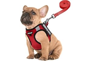 FAYOGOO Service Dog Vest for Small Dogs - Lightweight Dog Harness with 6PCS Removable Patches - Puppy Harness and Leash Set for Walking,Training