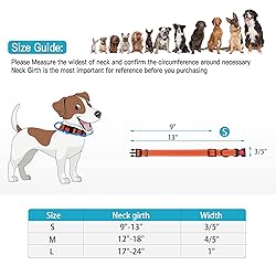 Reflective Dog Collar and Leash Set with Safety