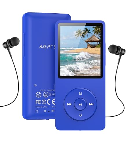 Sony NW-WM1A Walkman - 128GB, Black - MP3 Player with Hi-Res Audio